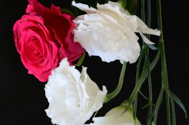 Kırmızı gül ve beyaz Eustoma çiçekleri siyah üzerine 