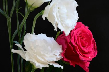 Kırmızı gül ve beyaz Eustoma çiçekleri siyah üzerine 