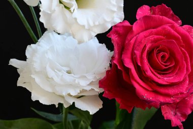 Kırmızı gül ve beyaz Eustoma çiçekleri siyah üzerine 