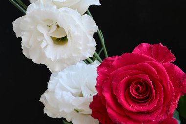 Kırmızı gül ve beyaz Eustoma çiçekleri siyah üzerine 