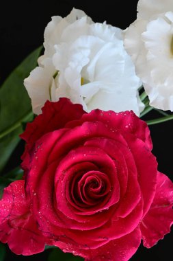 Kırmızı gül ve beyaz Eustoma çiçekleri siyah üzerine 