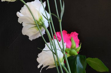 Kırmızı gül ve beyaz Eustoma çiçekleri siyah üzerine 