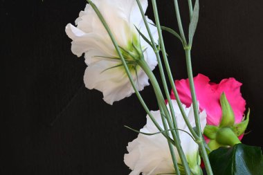 Kırmızı gül ve beyaz Eustoma çiçekleri siyah üzerine 