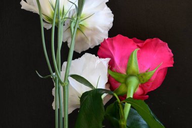 Kırmızı gül ve beyaz Eustoma çiçekleri siyah üzerine 