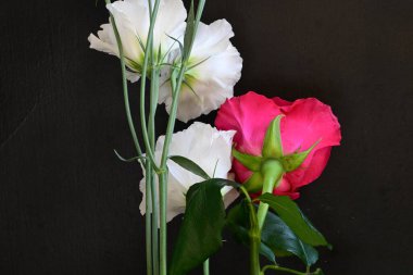 Kırmızı gül ve beyaz Eustoma çiçekleri siyah üzerine 