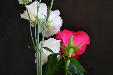 Kırmızı gül ve beyaz Eustoma çiçekleri siyah üzerine 