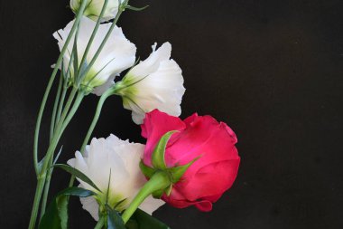 Kırmızı gül ve beyaz Eustoma çiçekleri siyah üzerine 