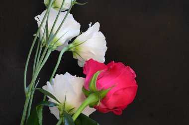 Kırmızı gül ve beyaz Eustoma çiçekleri siyah üzerine 