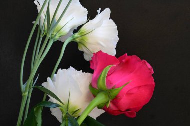 Kırmızı gül ve beyaz Eustoma çiçekleri siyah üzerine 