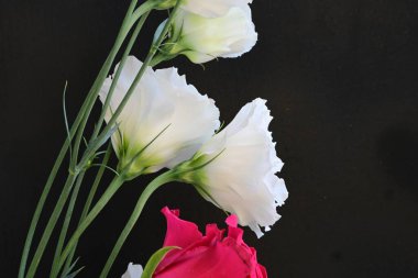 Kırmızı gül ve beyaz Eustoma çiçekleri siyah üzerine 