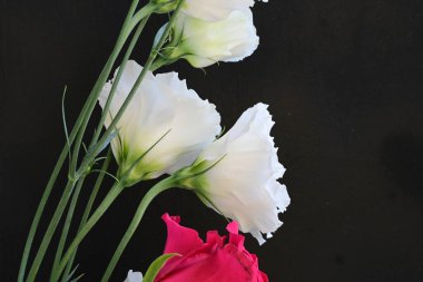 Kırmızı gül ve beyaz Eustoma çiçekleri siyah üzerine 