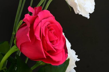 Kırmızı gül ve beyaz Eustoma çiçekleri siyah üzerine 