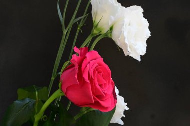 Kırmızı gül ve beyaz Eustoma çiçekleri siyah üzerine 
