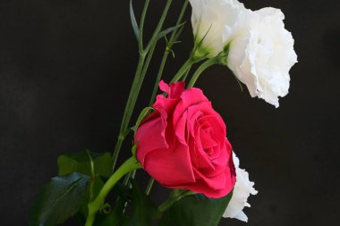 Kırmızı gül ve beyaz Eustoma çiçekleri siyah üzerine 