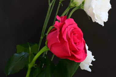 Kırmızı gül ve beyaz Eustoma çiçekleri siyah üzerine 