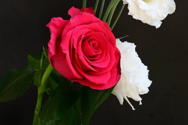 Kırmızı gül ve beyaz Eustoma çiçekleri siyah üzerine 