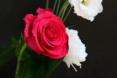 Kırmızı gül ve beyaz Eustoma çiçekleri siyah üzerine 