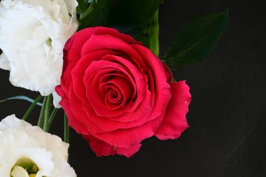 Kırmızı gül ve beyaz Eustoma çiçekleri siyah üzerine 