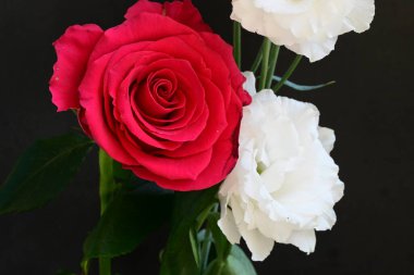 Kırmızı gül ve beyaz Eustoma çiçekleri siyah üzerine 