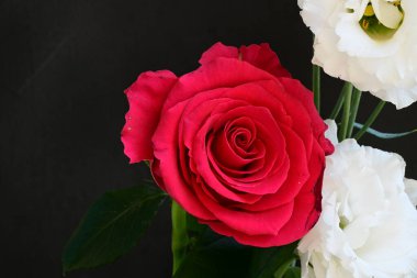 Kırmızı gül ve beyaz Eustoma çiçekleri siyah üzerine 