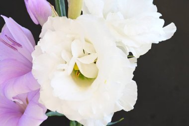 mor iris ve beyaz Eustoma çiçekleri siyah üzerine 