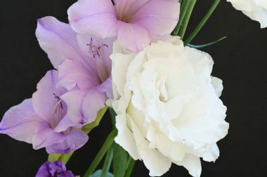 mor iris ve beyaz Eustoma çiçekleri siyah üzerine 