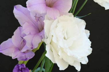 mor iris ve beyaz Eustoma çiçekleri siyah üzerine 