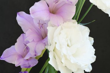 mor iris ve beyaz Eustoma çiçekleri siyah üzerine 