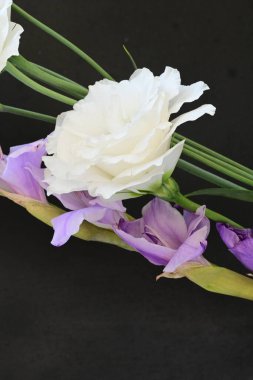 mor iris ve beyaz Eustoma çiçekleri siyah üzerine 