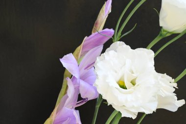 mor iris ve beyaz Eustoma çiçekleri siyah üzerine 