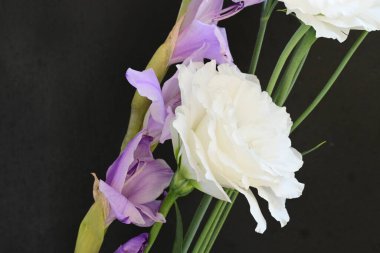mor iris ve beyaz Eustoma çiçekleri siyah üzerine 