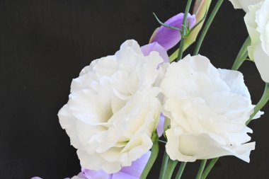 mor iris ve beyaz Eustoma çiçekleri siyah üzerine 