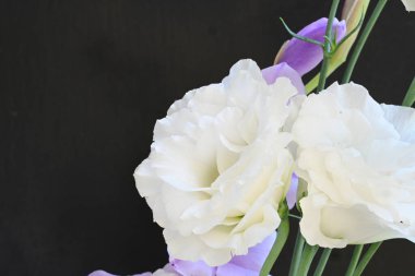 mor iris ve beyaz Eustoma çiçekleri siyah üzerine 