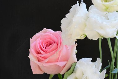 Tahta arka planda güzel güller, yaz konsepti, yakın manzara