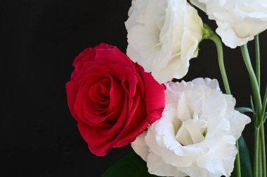 Siyah arkaplanda beyaz ve kırmızı çiçekler