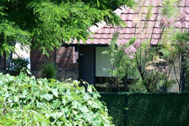 Yazın kırsal manzaranın güzel manzarası