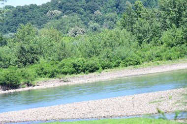 Nehir manzarası ve yaz parkında yeşil ağaçlar.