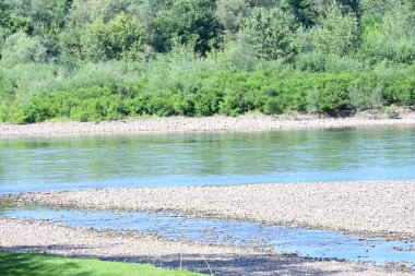 Nehir manzarası ve yaz parkında yeşil ağaçlar.