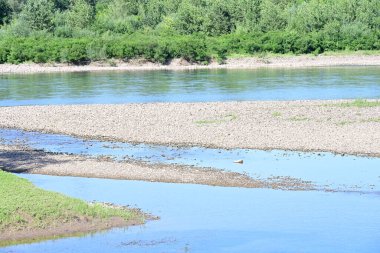 Nehir manzarası ve yaz parkında yeşil ağaçlar.