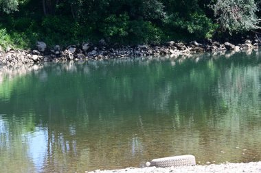 Güzel nehir manzarası ve yaz ormanlarında yeşil ağaçlar.