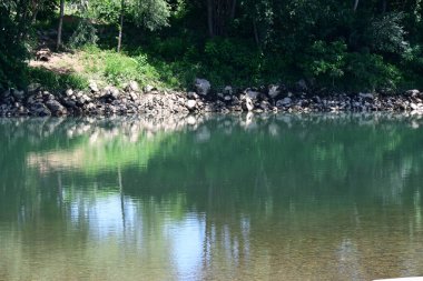 Güzel nehir manzarası ve yaz ormanlarında yeşil ağaçlar.