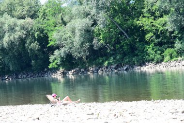 Güzel nehir manzarası ve yaz ormanlarında yeşil ağaçlar.