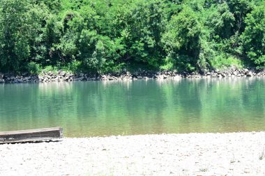 Güzel nehir manzarası ve yaz ormanlarında yeşil ağaçlar.