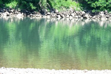 Güzel nehir manzarası ve yaz ormanlarında yeşil ağaçlar.