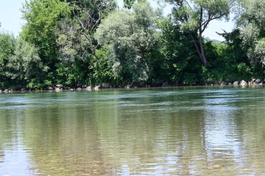 Güzel nehir manzarası ve yaz ormanlarında yeşil ağaçlar.