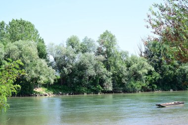 Güzel nehir manzarası ve yaz ormanlarında yeşil ağaçlar.