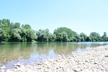 Güzel nehir manzarası ve yaz ormanlarında yeşil ağaçlar.