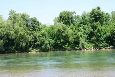 Güzel nehir manzarası ve yaz ormanlarında yeşil ağaçlar.