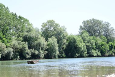 Güzel nehir manzarası ve yaz ormanlarında yeşil ağaçlar.