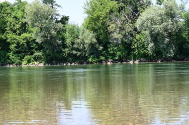 Güzel nehir manzarası ve yaz ormanlarında yeşil ağaçlar.